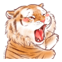 胖虎影视app电视版