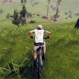 山地赛车模拟器手游