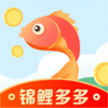 锦鲤多多APP
