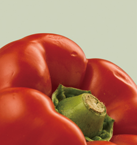 每日优鲜最新版 3