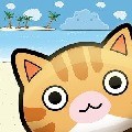 空气小猫