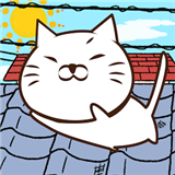 猫是液态的