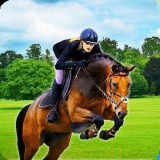 骑马比赛2025