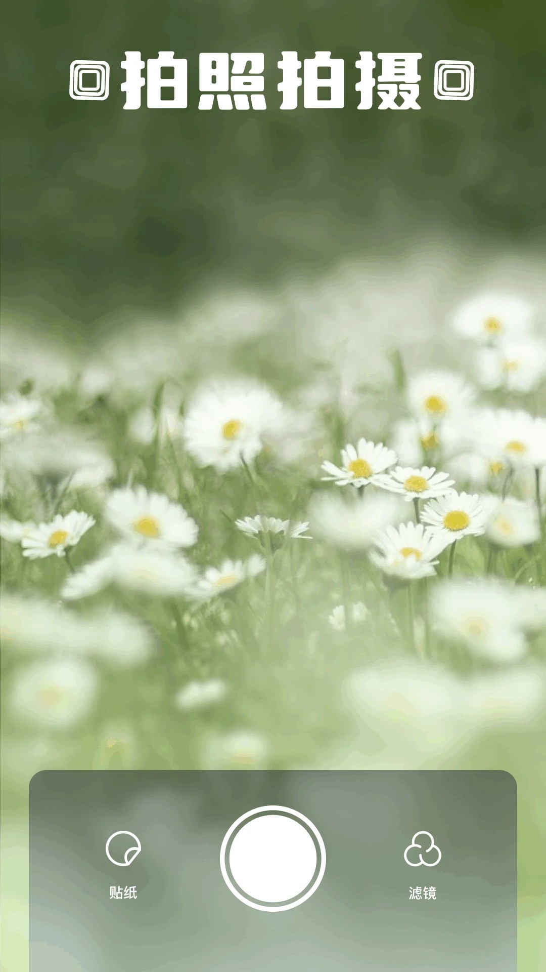 z动漫2026最新版本 1