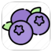 蓝莓音乐官方正版