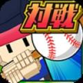 灰烬杯板球赛2013版