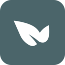 青藤之恋永久免费版