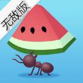 小蚁帝国无敌版