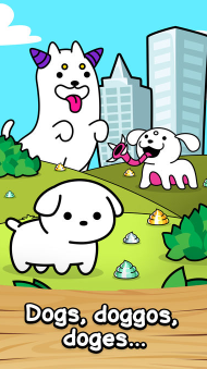 狗的进化(Dog Evolution)  1