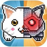毁灭魔法小猫