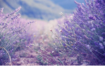 前端新闻客户端app 1