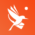 青鸟快讯app