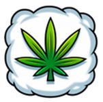 苏菲的神秘花园
