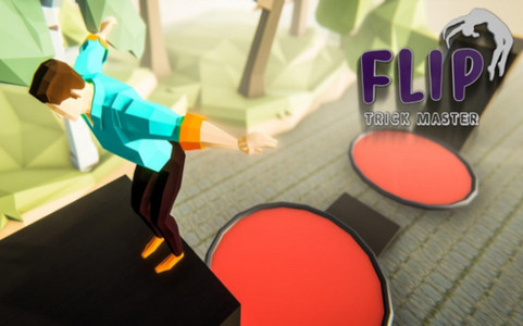 翻转技巧大师 1