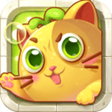 神秘猫咪字典