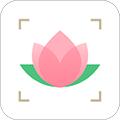 识花APP