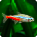 热带鱼缸最新版