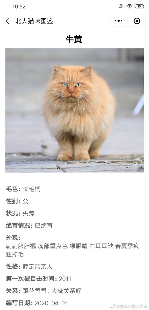 北大猫咪图鉴 1