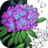 数字填色画画游戏