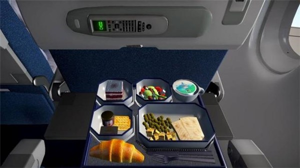  经济舱模拟器游戏 1