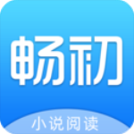 畅初小说版