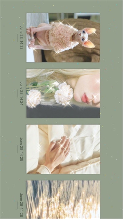 Chiccam日杂相机  1