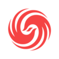 2025美国大选实时票数统计app