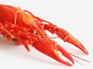 每日优鲜最新版 6