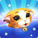守护猫之城