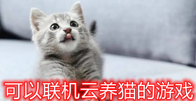 可以联机云养猫的游戏