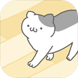 猫先生觅食