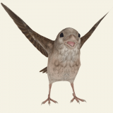 拯救小鸟免费版