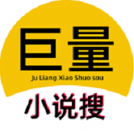 巨量小说版
