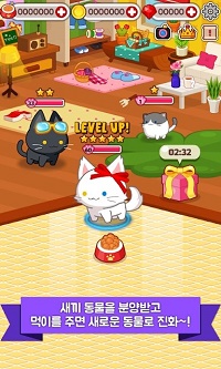 迷你宠物M小猫游戏 1