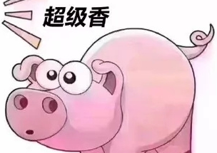 爱情公寓5猪猪公寓表情包App 1