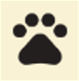 NGA净化模块安卓下载