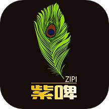 紫啤经典app