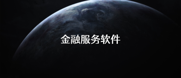 金融服务软件