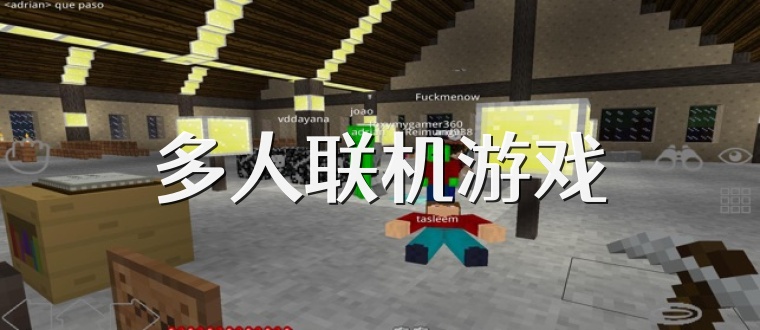 多人联机游戏
