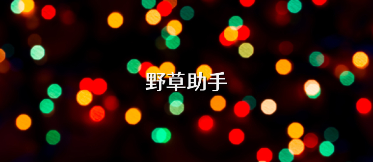 野草助手