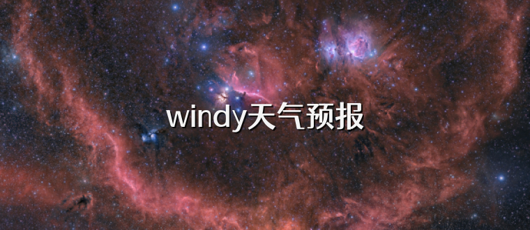 windy天气预报