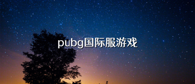 pubg国际服游戏
