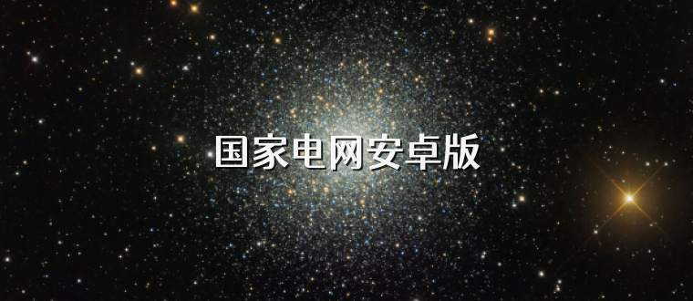 国家电网安卓版