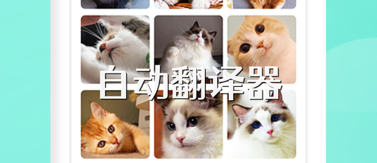自动翻译器
