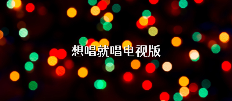 想唱就唱电视版