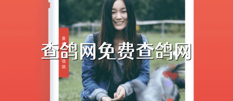 查鸽网免费查鸽网