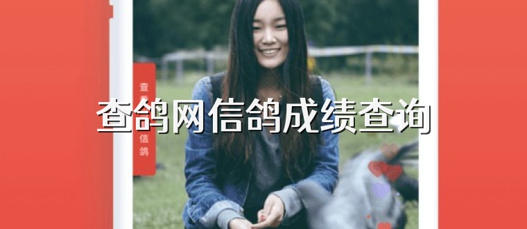 查鸽网信鸽成绩查询