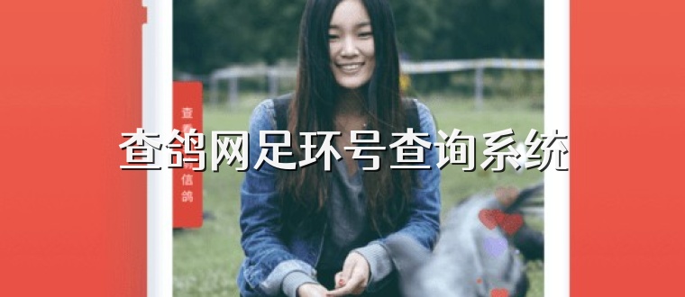 查鸽网足环号查询系统