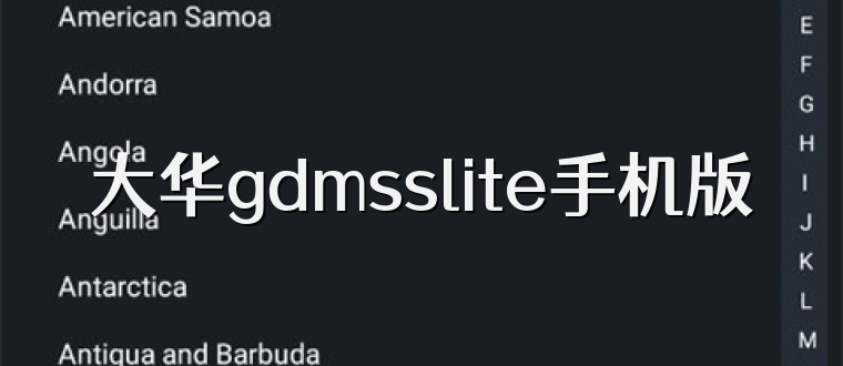 大华gdmsslite手机版