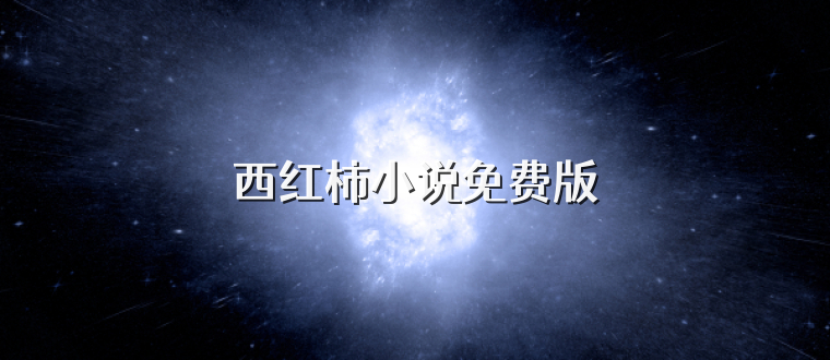 西红柿小说免费版